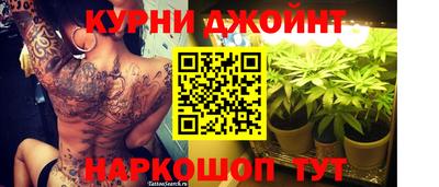 дживик Ачхой-Мартан