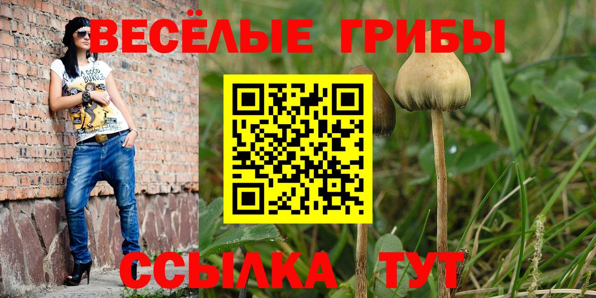 Псилоцибиновые грибы MAGIC MUSHROOMS  Вход с VPN  Саратов 